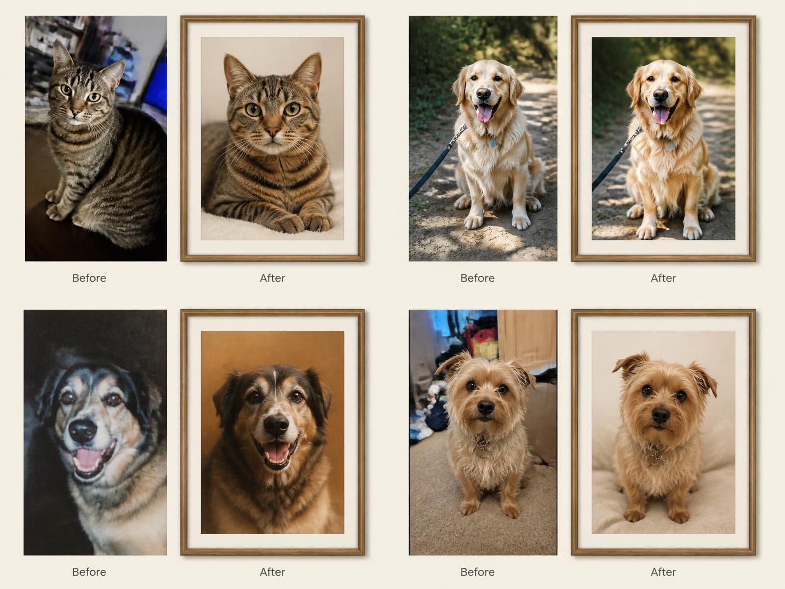 A gallery of four before-and-after examples: casual pet snapshots transformed into clean, natural framed portraits.